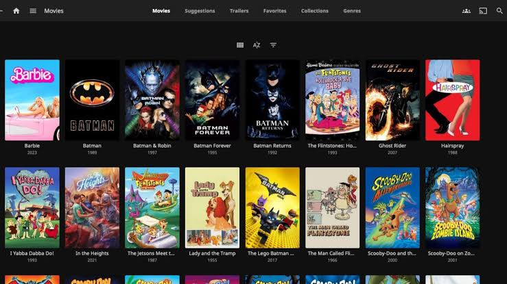 Onboard movie-streaming screen with a grid of film tiles